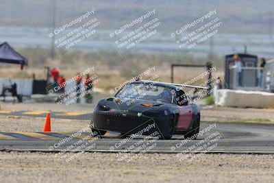 media/Mar-30-2025-Pro Autosports (Sun) [[34ff8f16e0]]/2-Blue-White Group/Main Race/